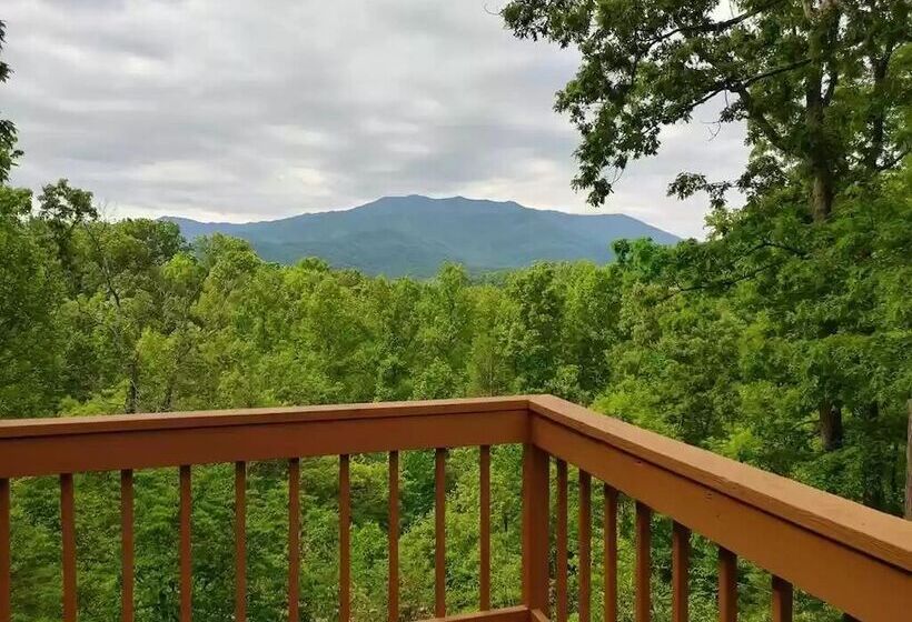 Smoky Mountain Reins #2314