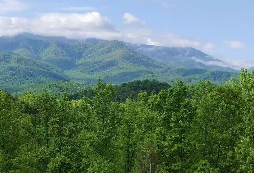 Smoky Mountain Reins #2314