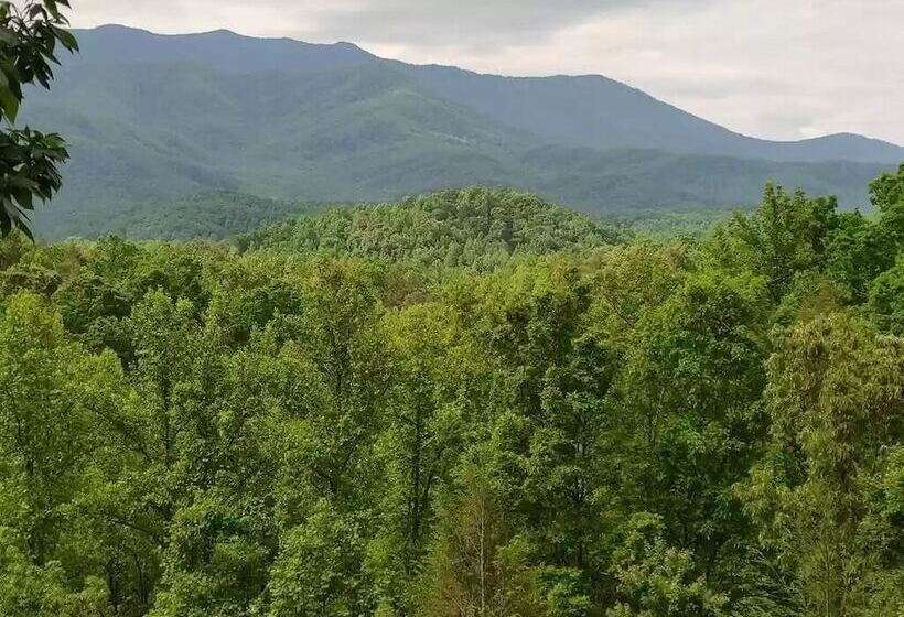 Smoky Mountain Reins #2314