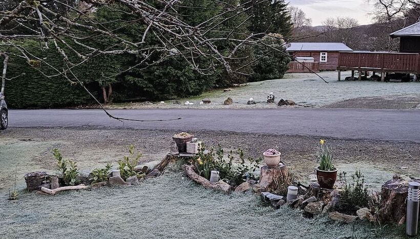 Snowdonia National Park Log Cabin With Garden