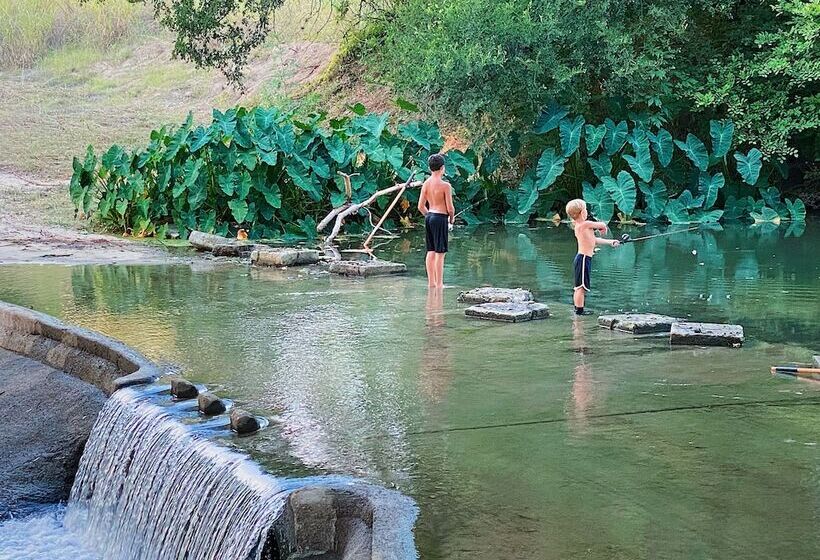 Son S Rio Cibolo   Glamping Cabin D