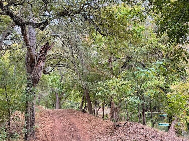 Son S Rio Cibolo   Glamping Cabin H