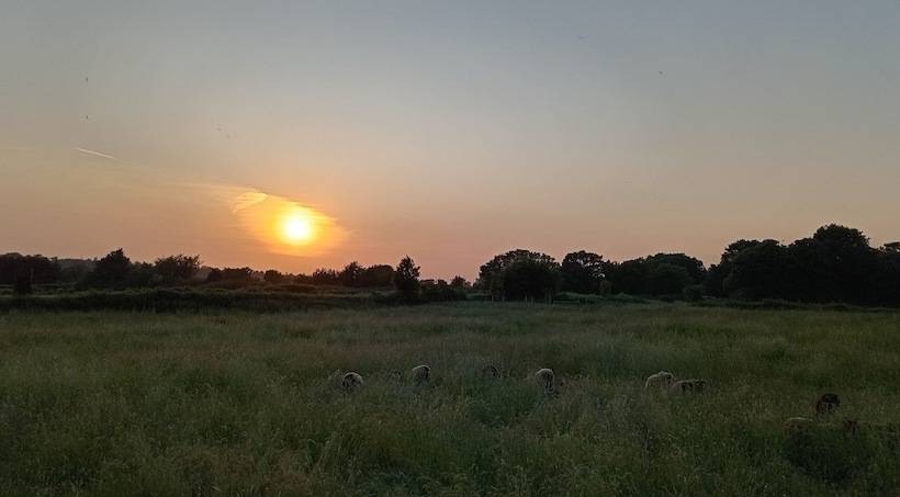 3 Bed Cottage In Quiet & Green Wallington