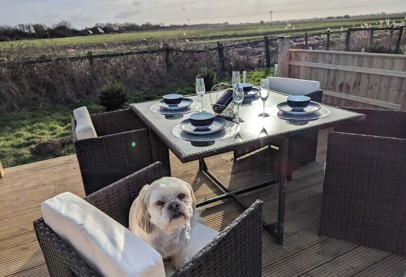 American Rv   Dog Friendly   Peaceful Location