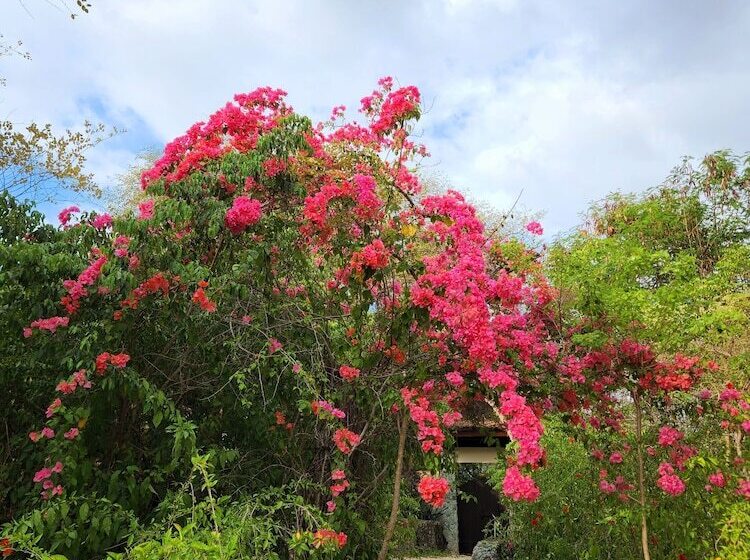Angel Island Eco Resort
