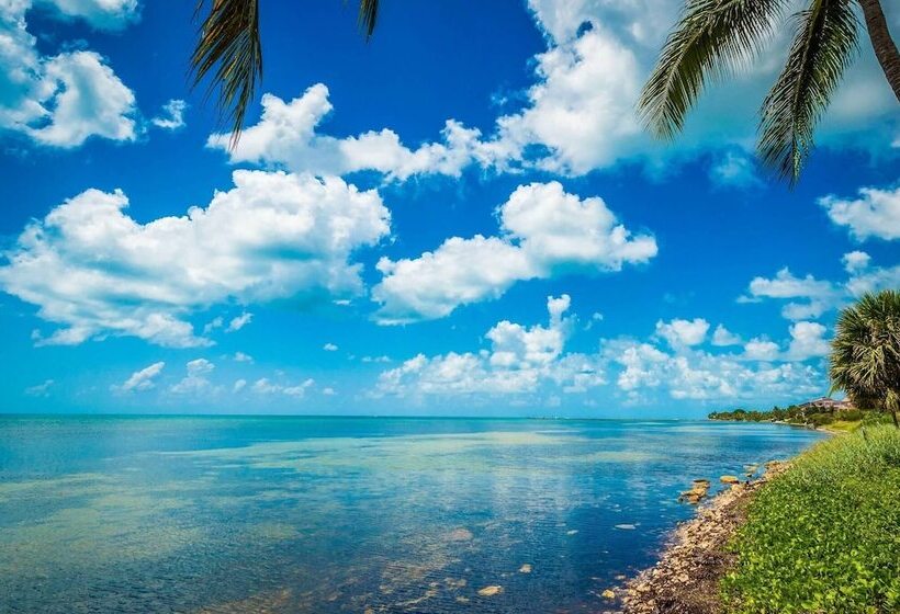 Atlantic Paradise By Avantstay Great Location W/ Balcony, Outdoor Dining & Shared Pool & Hot Tub!