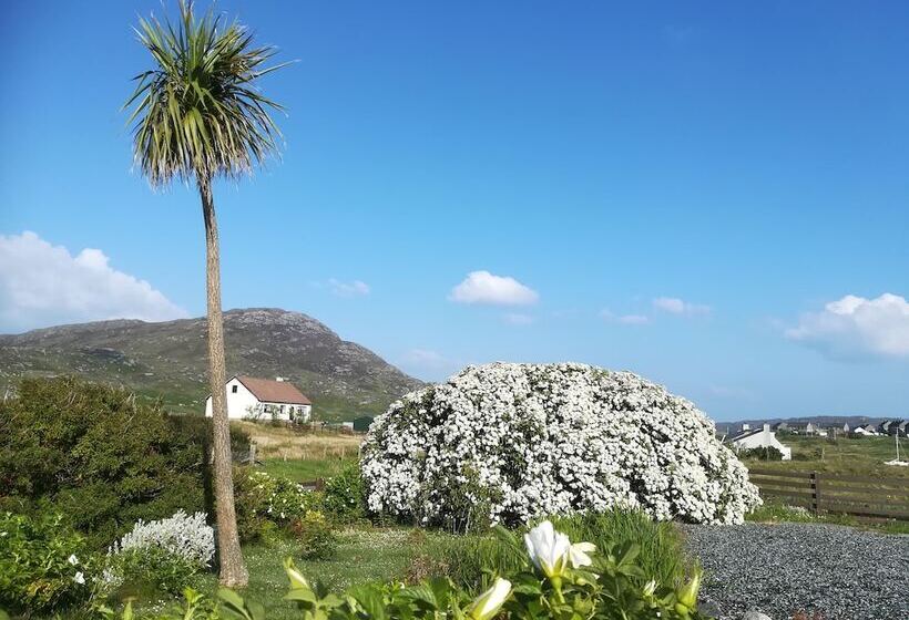 Bed and Breakfast Brae Lea Guest House