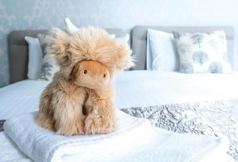 住宿加早餐  Forest Side Guest House