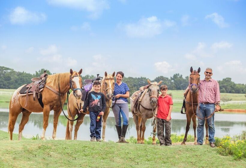 مبيت وإفطار Southern Cross Guest Ranch
