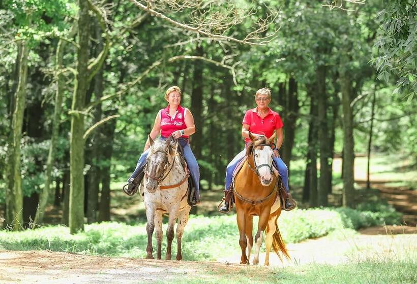 مبيت وإفطار Southern Cross Guest Ranch