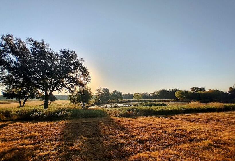 住宿加早餐  The Yellow Rose Of Texas