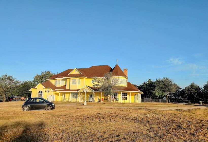 住宿加早餐  The Yellow Rose Of Texas