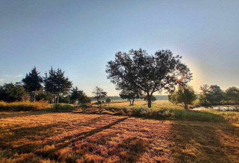 住宿加早餐  The Yellow Rose Of Texas