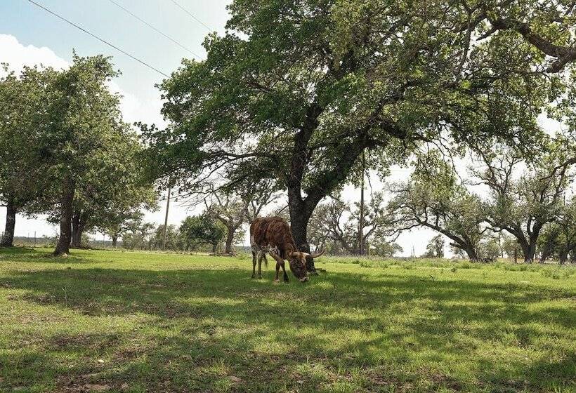 Best Fredericksburg Bed And Breakfast