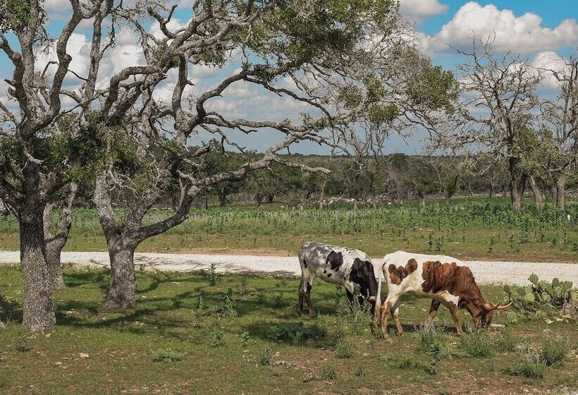 Best Fredericksburg Bed And Breakfast