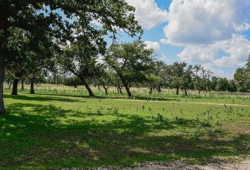 Best Fredericksburg Bed And Breakfast