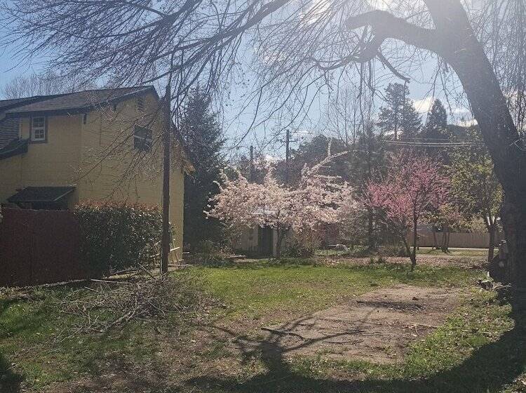 Bigfoot Rv & Cabins Park