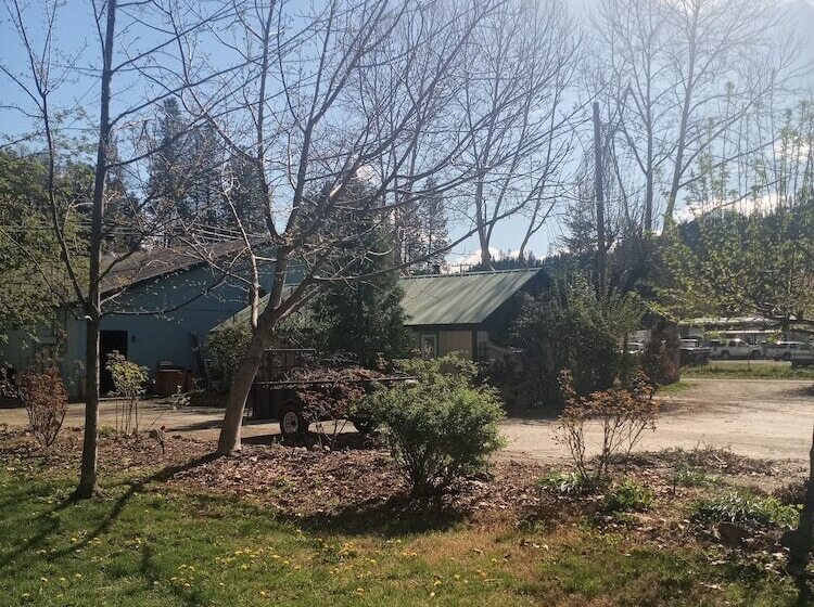 Bigfoot Rv & Cabins Park