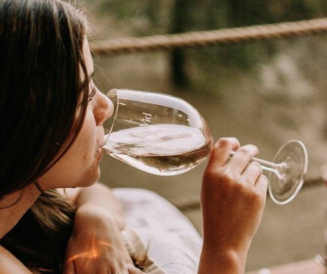 Boskenvid Hotel Boutique, Skypool