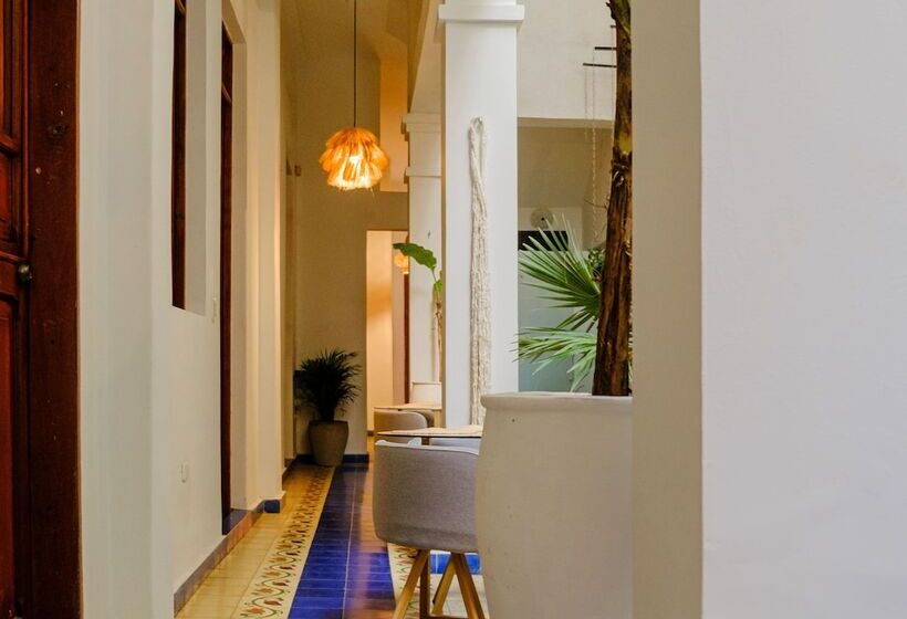 Casa Rosa   Alma Hotels