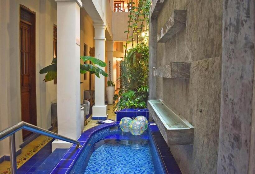 Casa Rosa   Alma Hotels