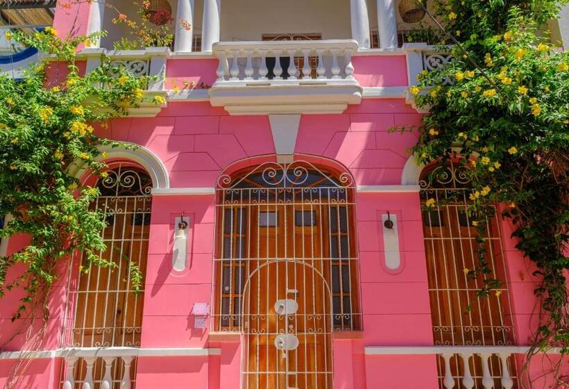 Casa Rosa   Alma Hotels