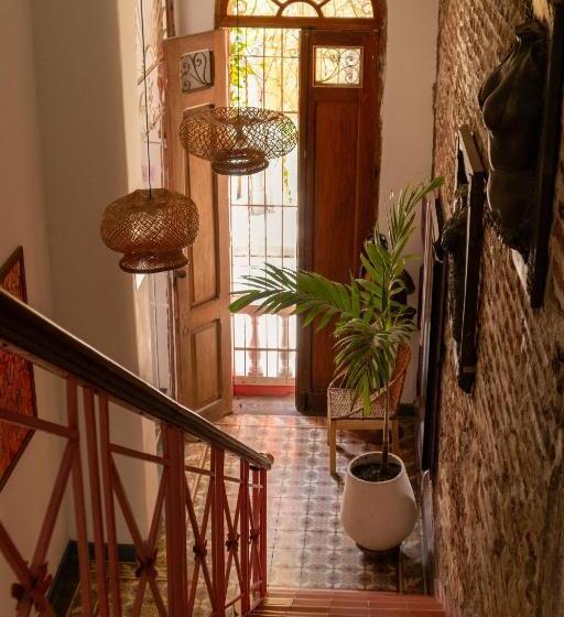 Casa Rosa   Alma Hotels