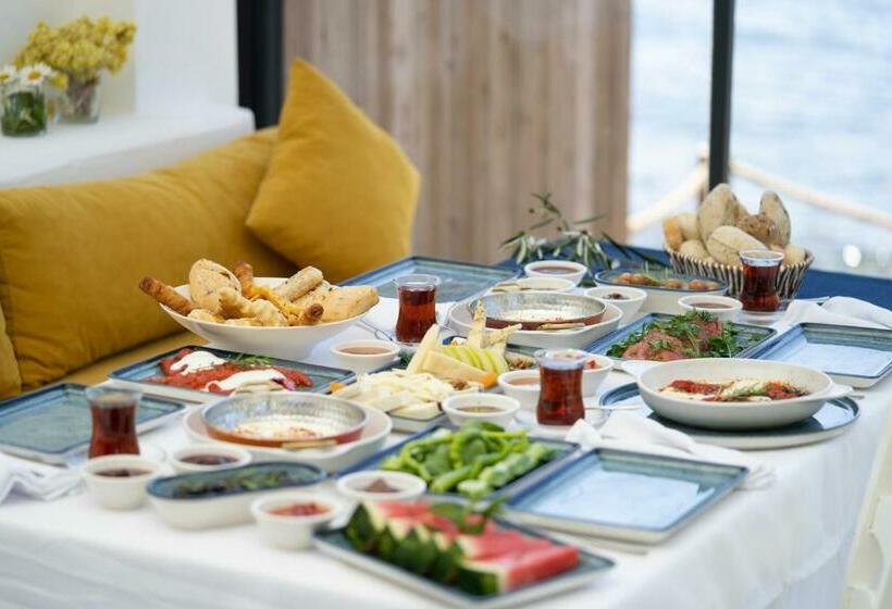 בית מלון כפרי Assosa