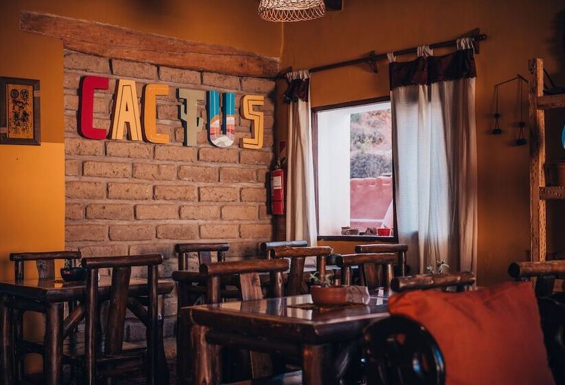Отель Cactus