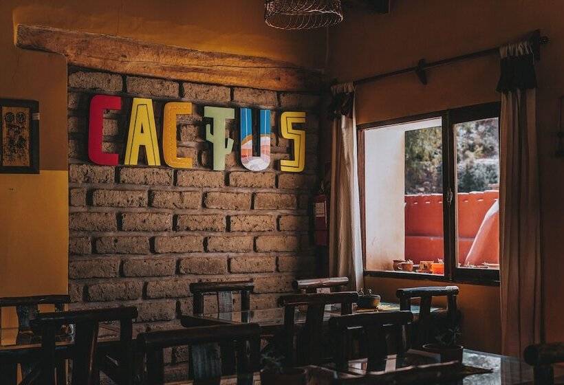 Отель Cactus