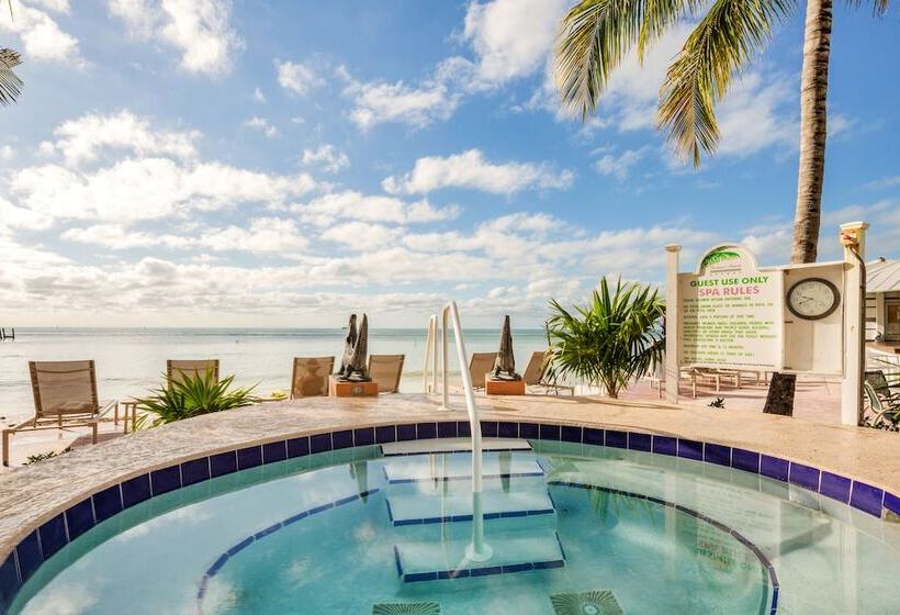 호텔 Coconut Beach Resort