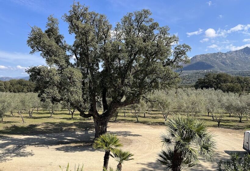 فندق Domaine Du Reginu