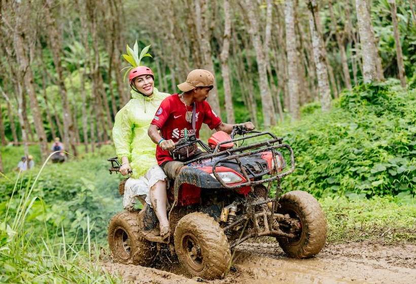 酒店 Ingthara Resort