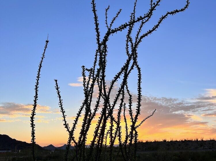 호텔 Space Cowboys