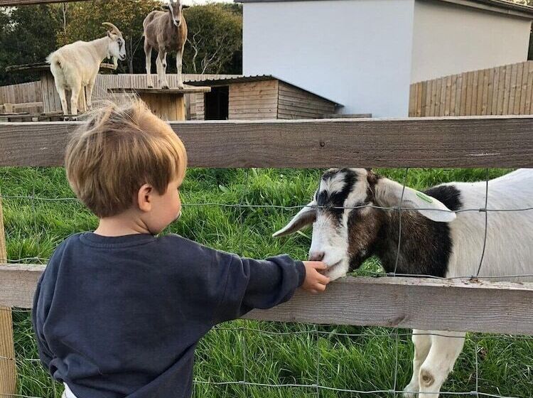 ホテル Sunrise Dome Tent