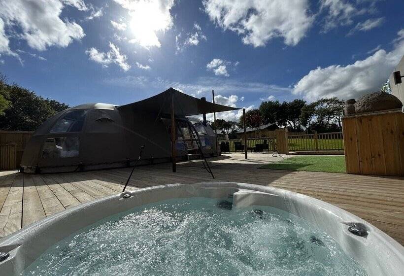 ホテル Sunrise Dome Tent