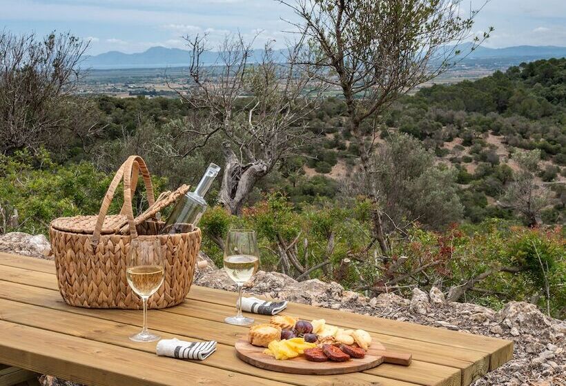 The Lodge Mallorca Small Luxury Hotels