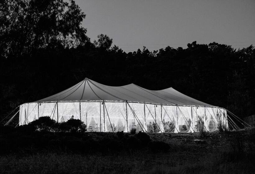 酒店 Timber Cove Resort