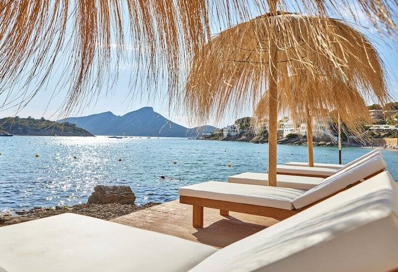 호텔 Universal Aquamarin Beach Houses