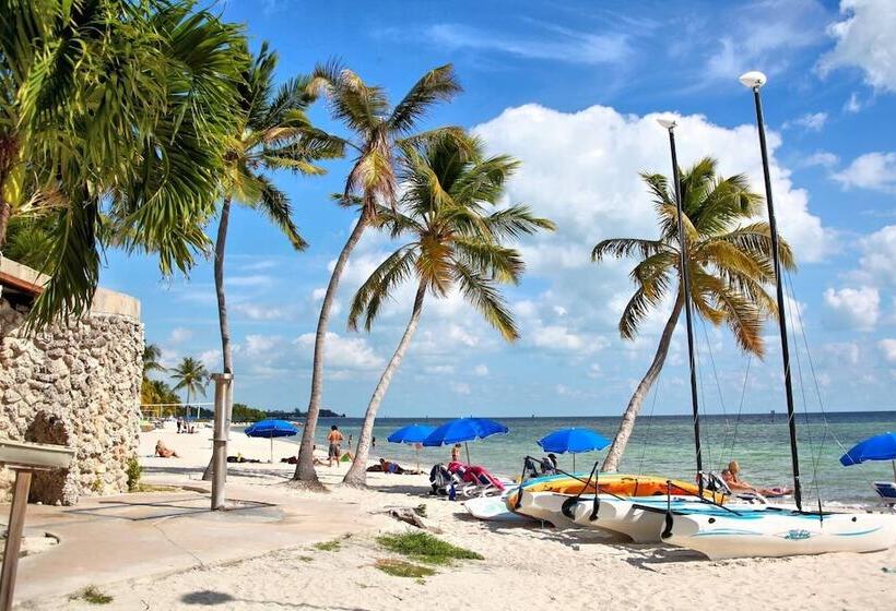 Ibis By Avantstay Close To Duval Street W/ Shared Pool Month Long Stays Only