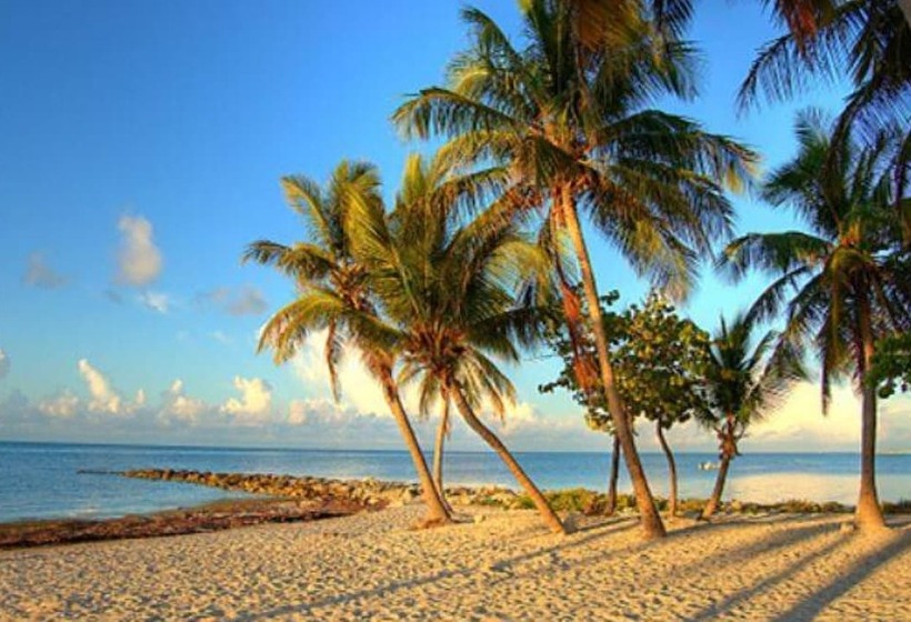Key Lime Pie By Avantstay Ideal Location W/ Splash Pool & Out Door Dining Month Long Stays Only