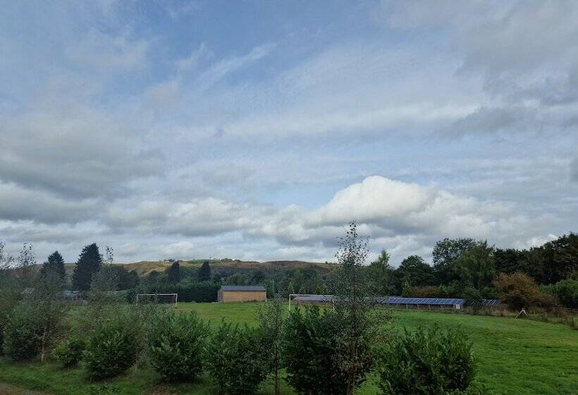 Large Glamping Hut   Riverview 13