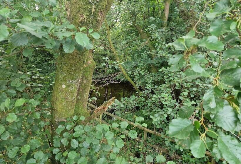 Large Glamping Hut   Riverview 13