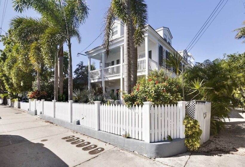 Lazy Gecko By Avantstay Walk To Duval St In Key West! Month Long Stays Only