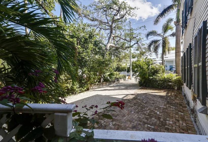 Lazy Gecko By Avantstay Walk To Duval St In Key West! Month Long Stays Only