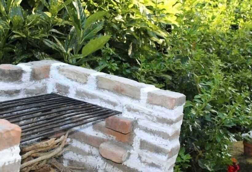 Lovely 6 Bed Cottage In Braga Enjoy And Relax