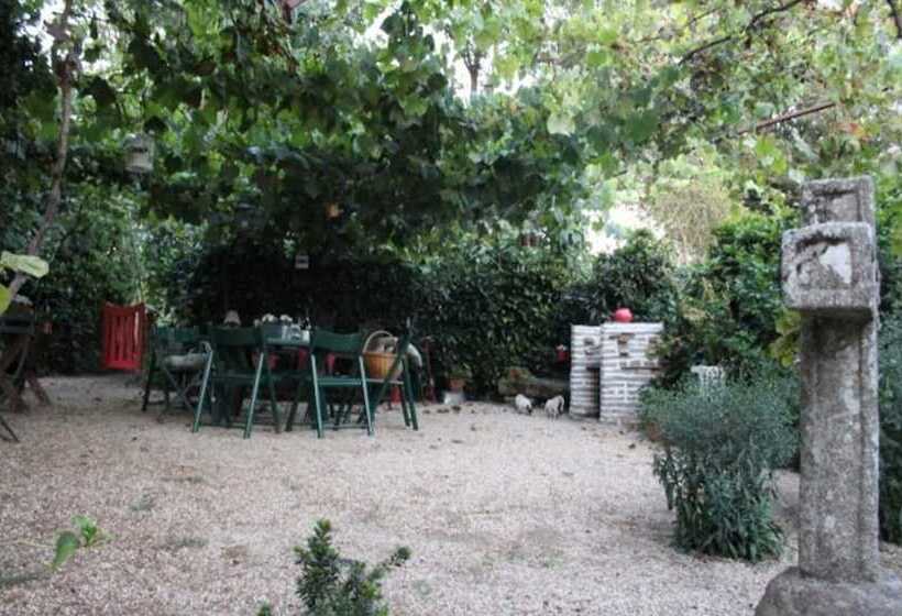 Lovely 6 Bed Cottage In Braga Enjoy And Relax