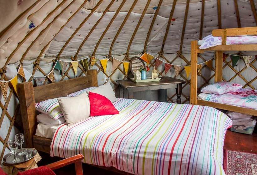 Mongolian Yurts Fordhall Organic Farm