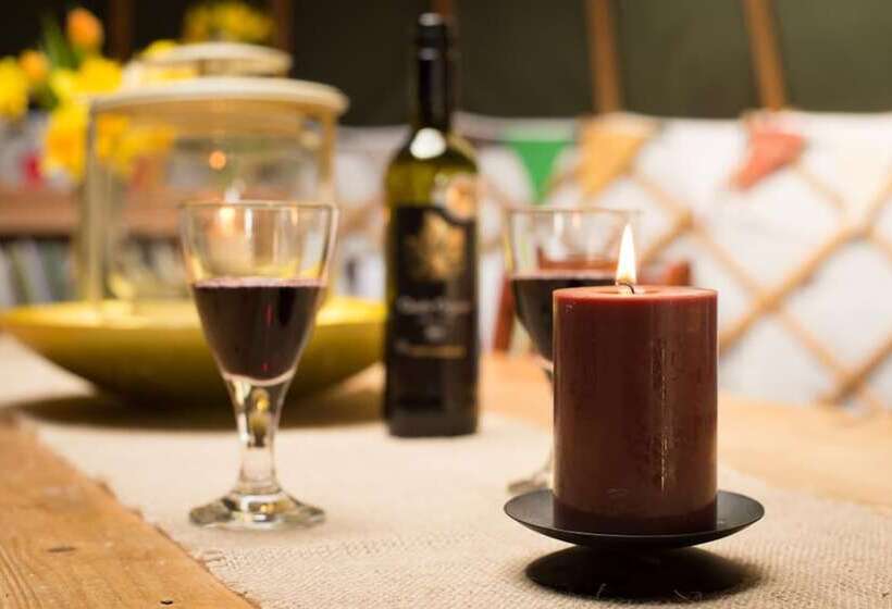 Mongolian Yurts Fordhall Organic Farm