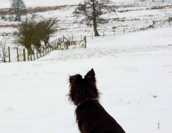 Mongolian Yurts Fordhall Organic Farm